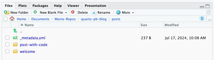 On the top there are some window tabs. From left to the right: 'Files' (active), 'Plots', 'Packages', 'Help', 'Viewer', and 'Presentation. Underneath several buttons prepended by icons. From left to the right: 'New Folder', 'New Blank File', 'Delete', 'Rename', 'More' (drop-down-menu). Under these buttons is a URL where each part is a (blue) link: 'Home>Documents>Meine-Repos>quarto-pb-blog>posts'. Underneath is a list of three items in three columns titled 'Name', 'Size', and 'Modified'. The first item says: '_metadata.yml 237B, Jul 17, 2024, 10:08 AM'. The next two lines represent folder names: 'post-with-code' and 'welcome'.